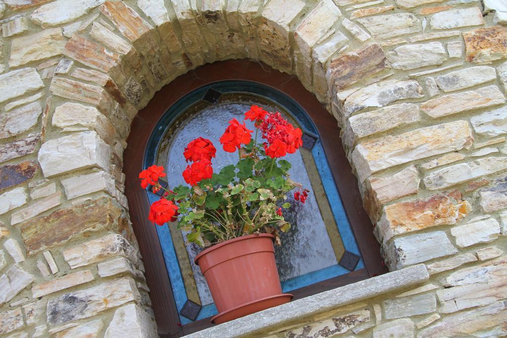Hotel Ristorante Belsito 보르고 산 달마쪼 외부 사진